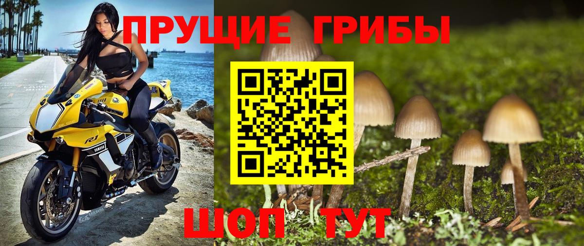 Киселёвск  Галлюциногенные грибы мухоморы  Вход с VPN 