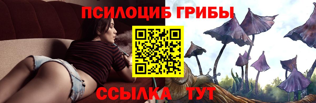 Галлюциногенные грибы GOLDEN TEACHER Киселёвск