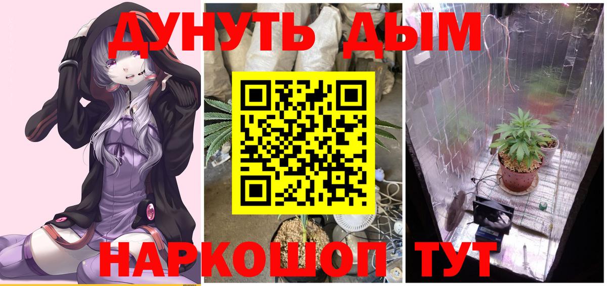 Бошки Шишки планчик  Бошки марихуана планчик  Вход с VPN  Шишки марихуана марихуана  Киселёвск  Каннабис семена 